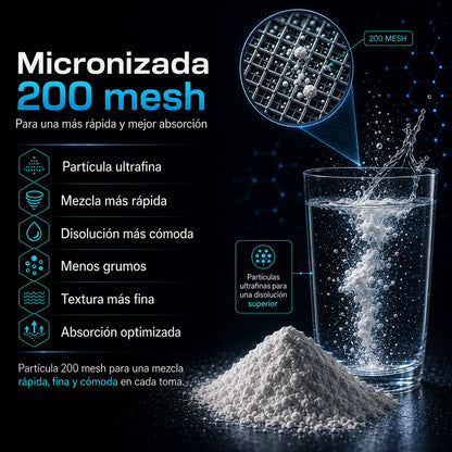Creatina Micronizada