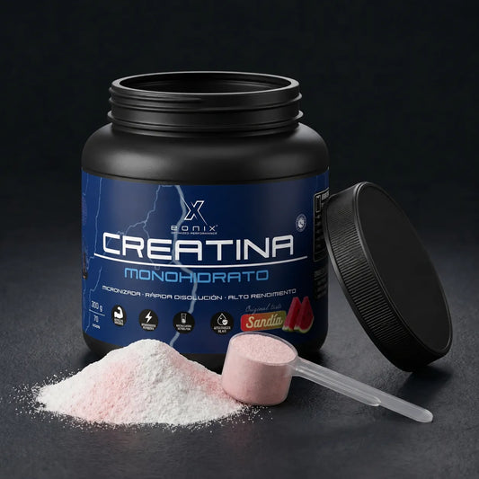 Creatina Micronizada